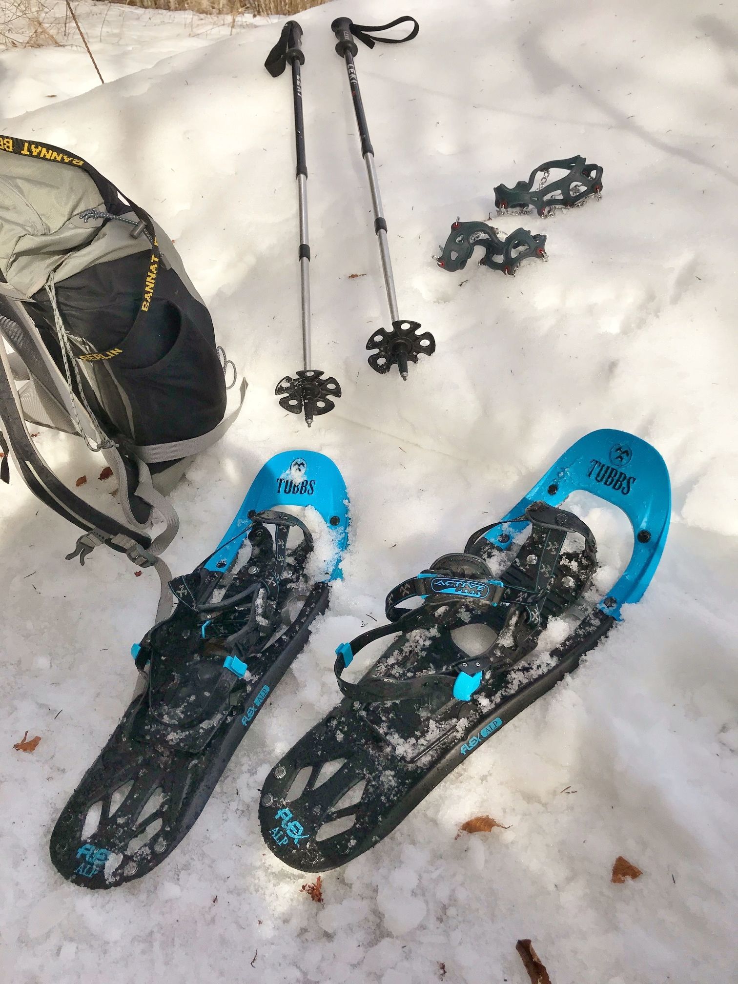 Schnbeeschuhwanderung